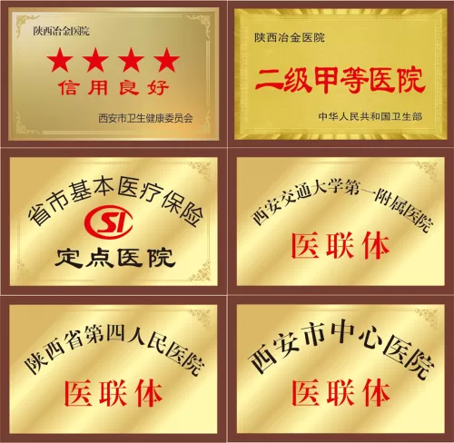 荣誉资质